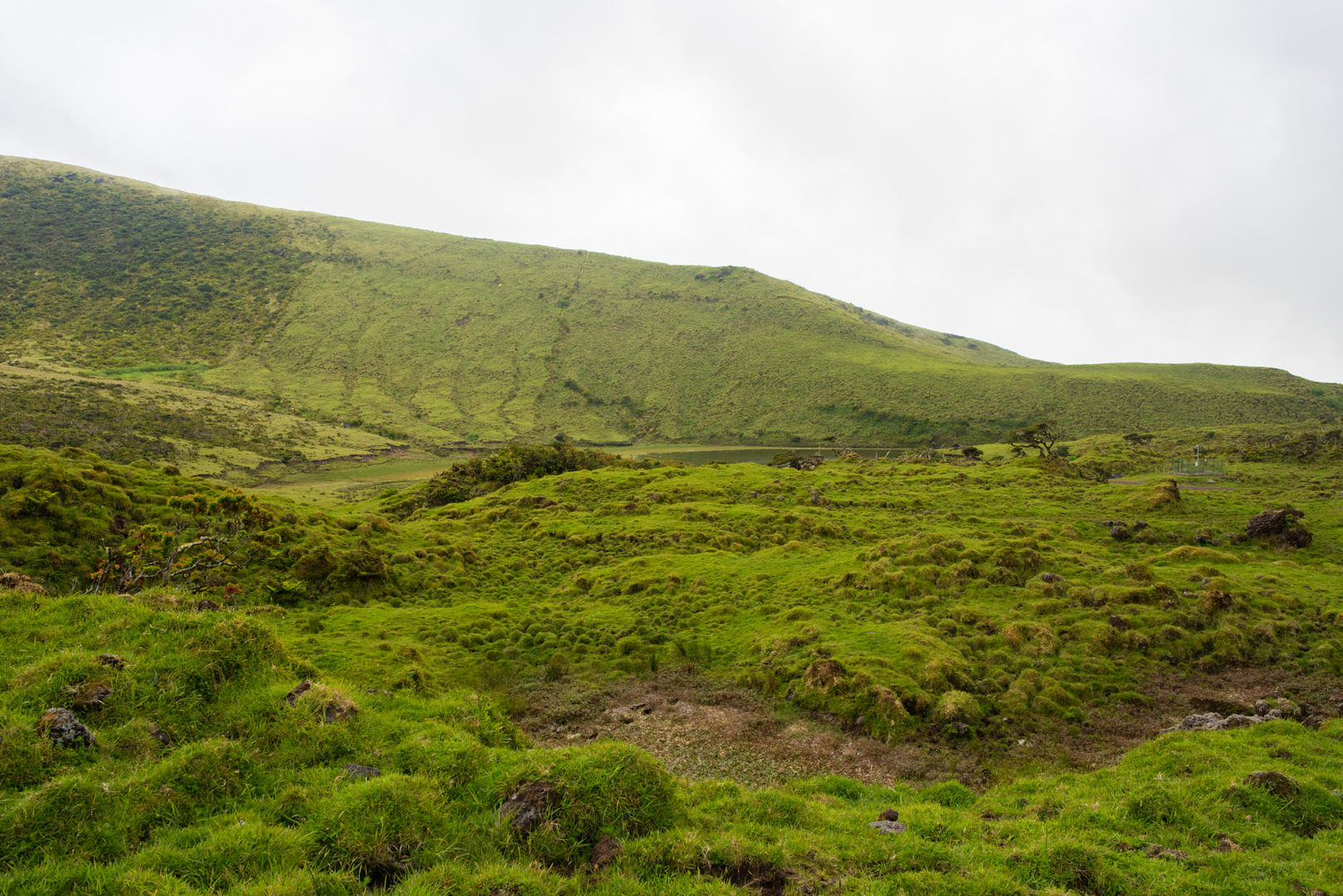 Grüne hügelige Landschaften auf der Azoreninsel Pico
