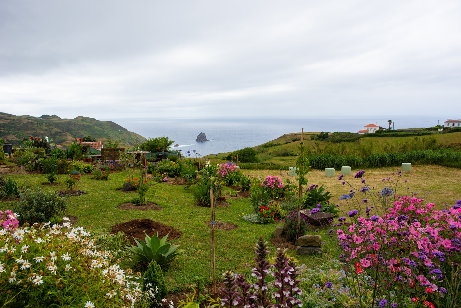 Ein Garten auf Santa Maria mit vielen bunten Blumen, im HIntergrund das Meer und ein Felsen