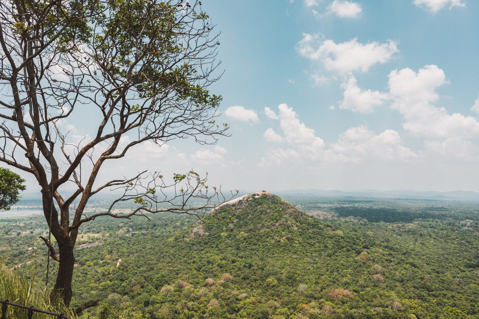 Pidurangala Felsen oder Sigiriya? Was ist sehenswerter?
