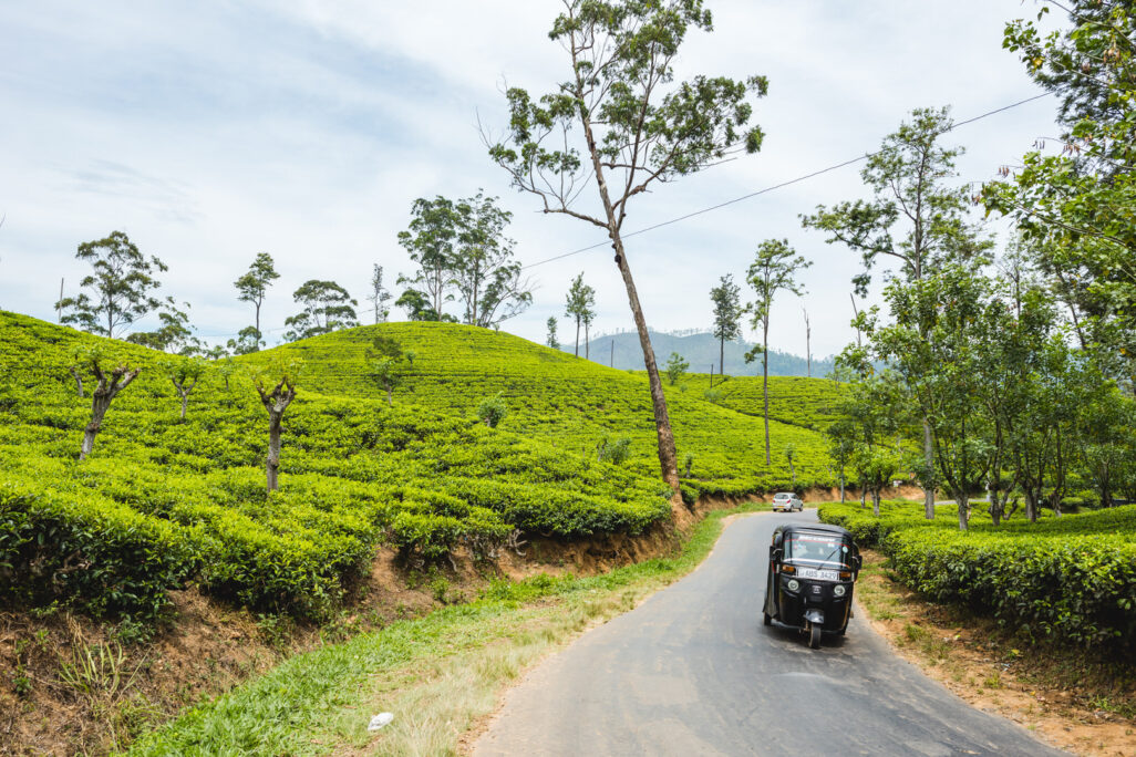 Autofahren in Sri Lanka Reiseblog Secluded Time