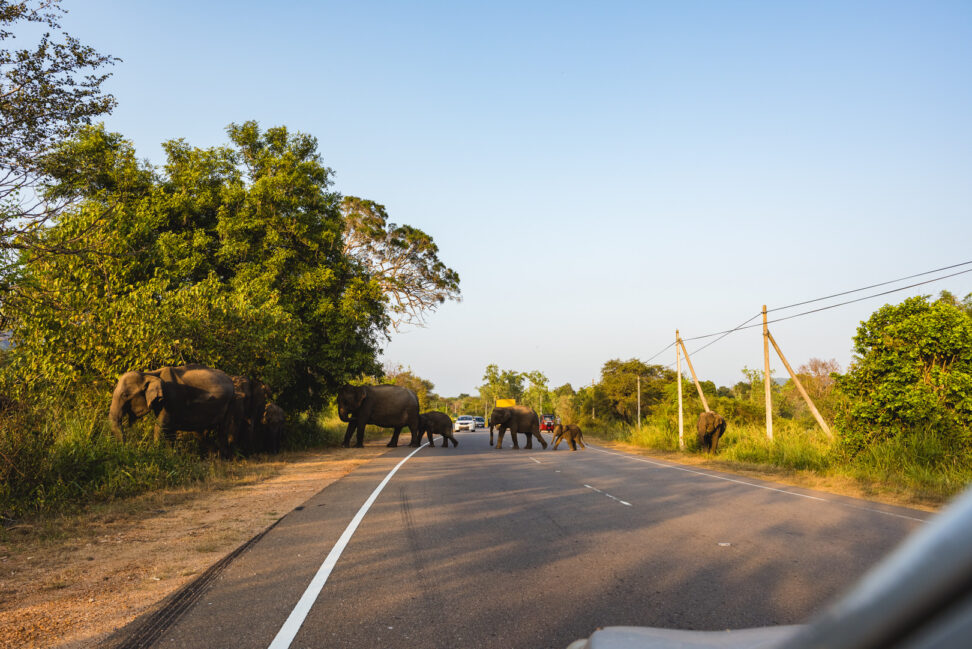Autofahren in Sri Lanka Reiseblog Secluded Time