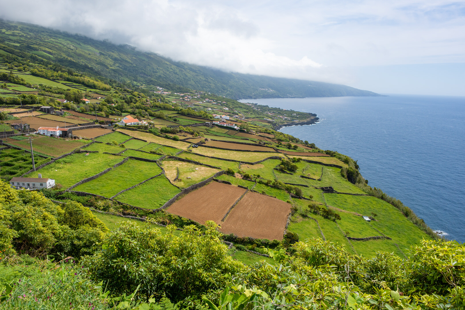 Ein typischer Ausblick für die Azoren auf Pico