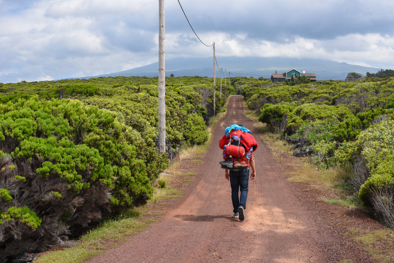 Grüne Weinreben auf der Nachbarinsel von Sao Jorge und ein Wanderer, der mit einem bepackten Rucksack unterwegs ist