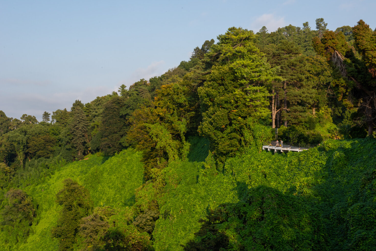 Botanischer Garten Batumi Reiseblog Secluded Time