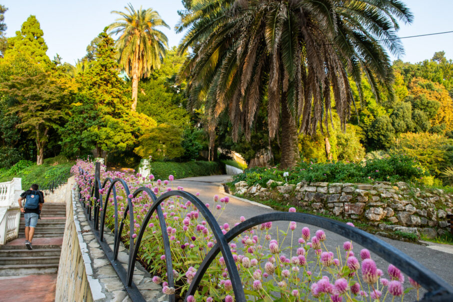 Botanischer Garten Batumi Reiseblog Secluded Time