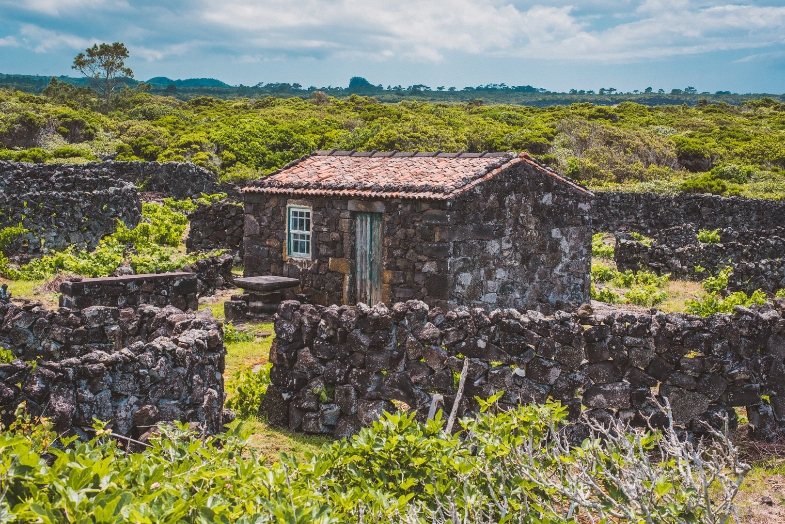 Ein Steinhaus mitten auf einer Azoren Insel.