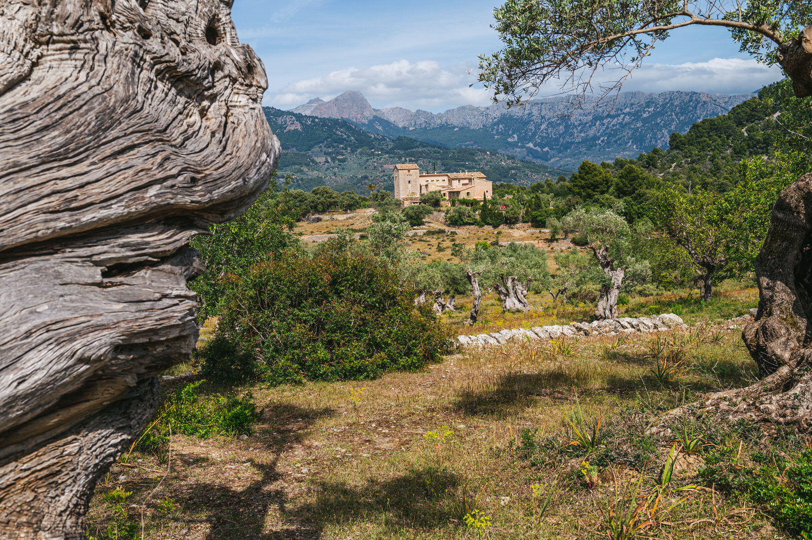 Mallorcas schönste Sehenswürdigkeiten
